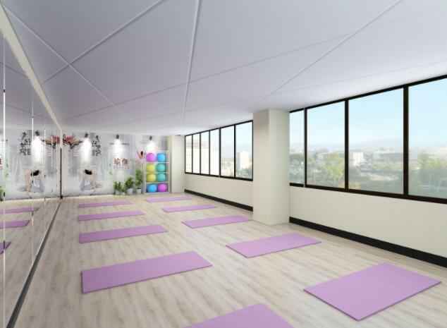 大型健身房瑜伽室 大型健身房瑜伽室